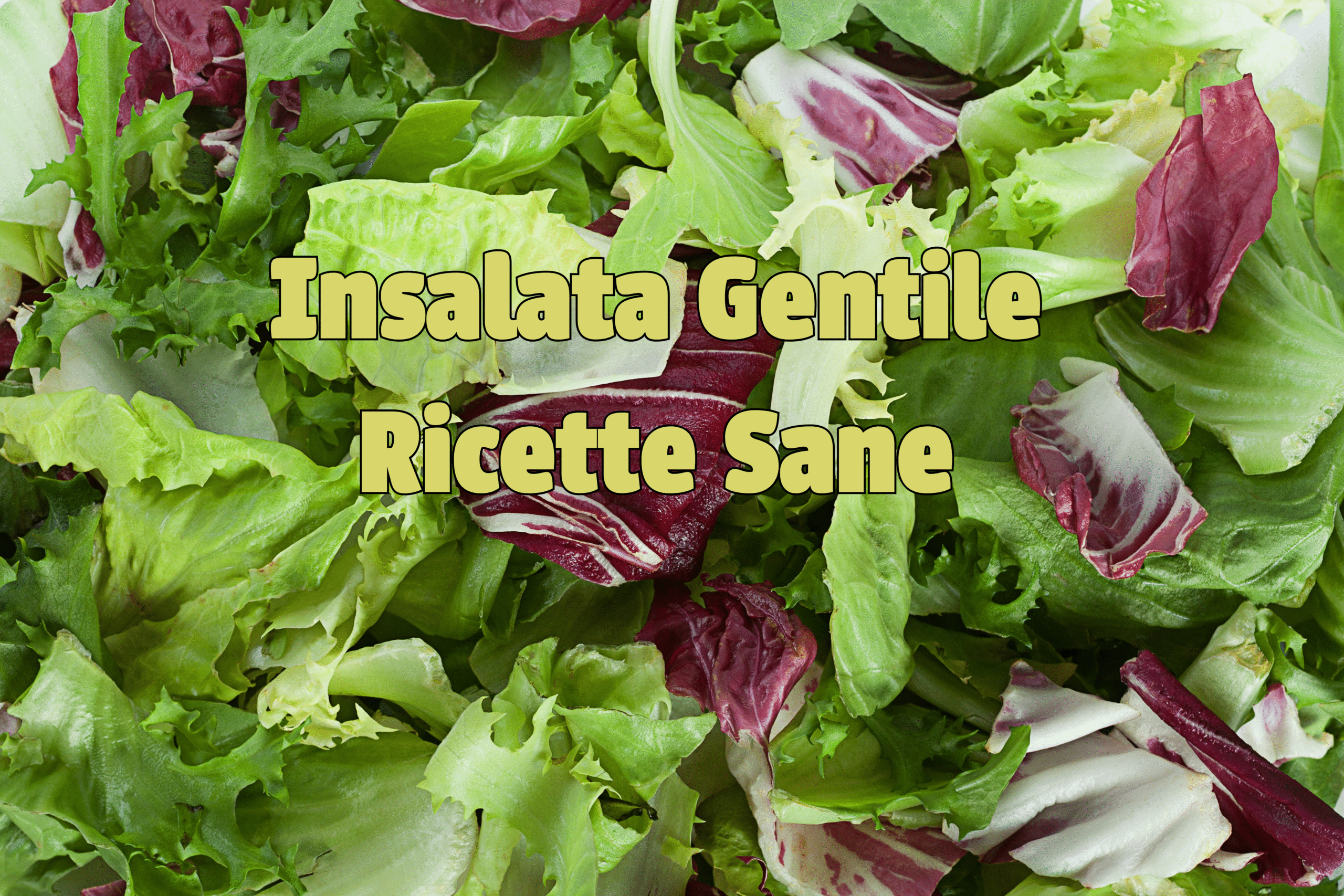 Insalata Gentile Ricette Sane per una Dieta Equilibrata