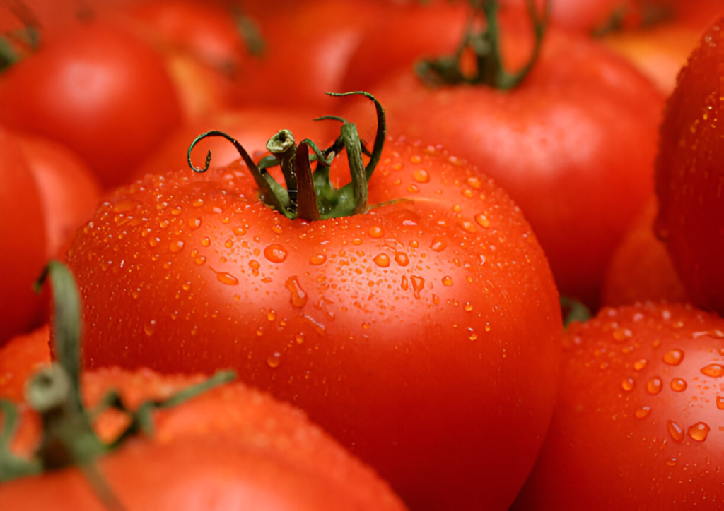 Pomodori San Marzano maturi su un tagliere di legno