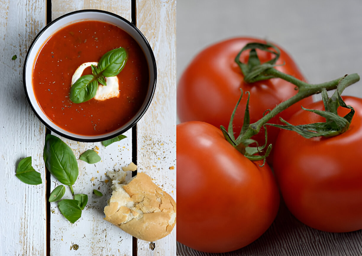 Zuppa Caprese alla Napoletana ricette facili